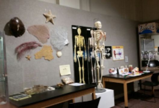 路易斯安那艺术科学博物馆景点图片