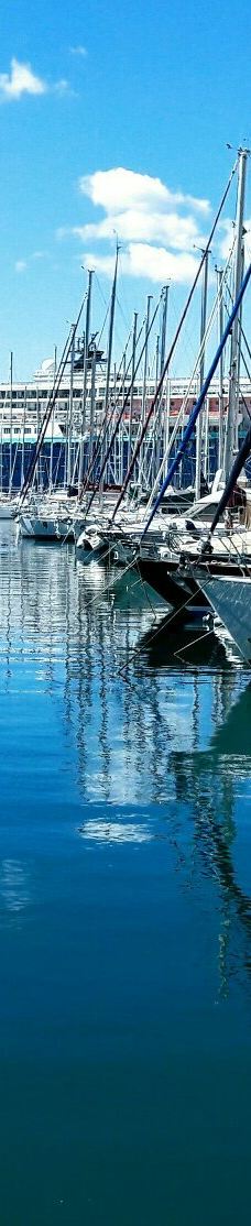 马尔马里斯-马米勒斯