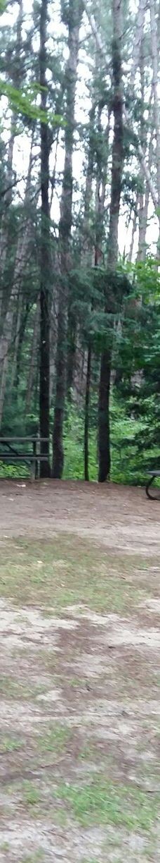 Mikisew Provincial Park-Machar