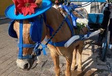 Centro Cultural y Artesanal Izamal景点图片