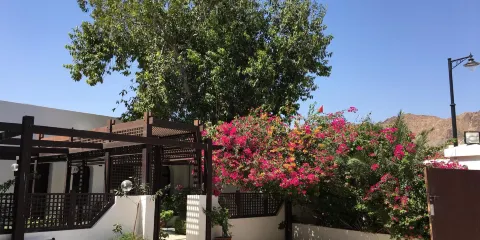 Omani - French Museum