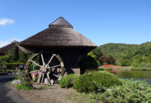 榛木林民俗资料馆景点图片