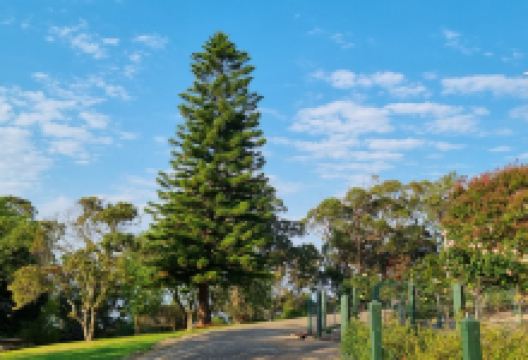 Nyerimilang Heritage Park景点图片