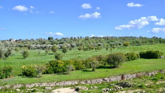 Villa Romana del Tellaro