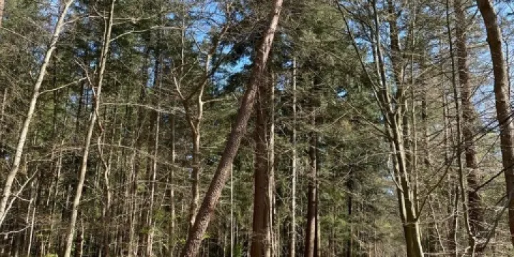 Landgoed Schovenhorst