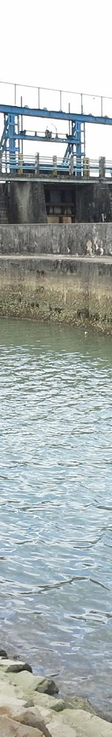 Bendungan Pice-Selingsing