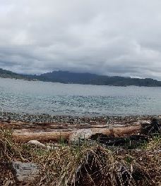 Rebecca Spit Marine Provincial Park-奎德拉岛