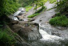 Shendurney Wildlife Sanctuary景点图片