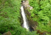 Glenashdale Falls景点图片