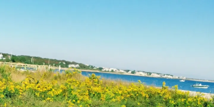 Eugenia Fortes Beach