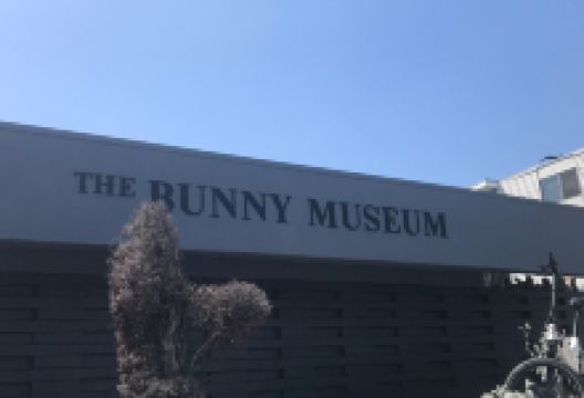 The Bunny Museum景点图片