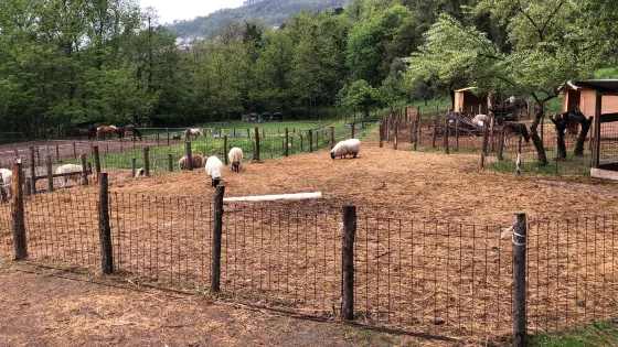 Silverado Fattoria Arrighini