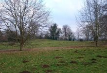 Deddington Castle景点图片