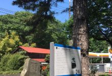 Gyoko Pine Tree and Its Monument景点图片