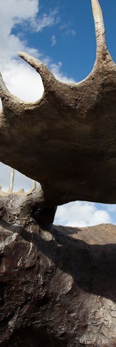 杰克逊鹿角公园-杰克逊