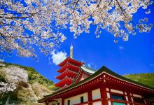 本福寺景点图片