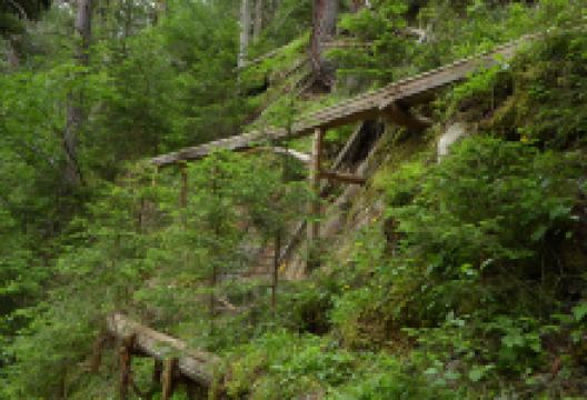 Waalwege Moserstegle景点图片