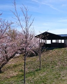 Hamadate Park-由利本庄市