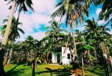 Tara Camping Magallanes景点图片