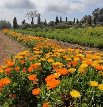 Parc de Les Olors del Serrat