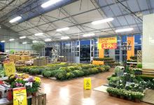 Magasin Vert Boufféré购物图片
