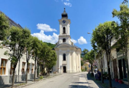 Zugfozde Palinkamuzeum景点图片