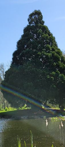 Bruce Starker Arts Park And Natural Area-科瓦利斯