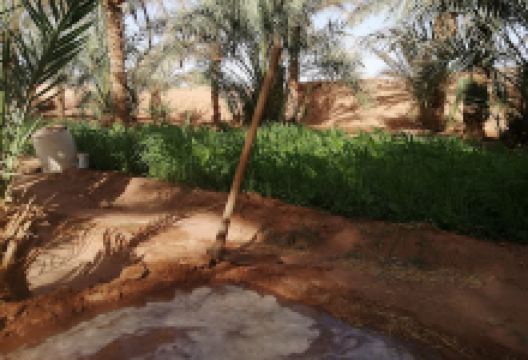 Stream(sagia) timliha景点图片