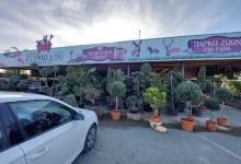 Evangelou Garden Centre /Fitorio tersefanou / Flower shop购物图片