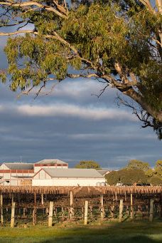 Penley Estate-库纳瓦拉