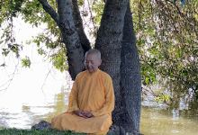 Tinh Xa Ngoc An景点图片