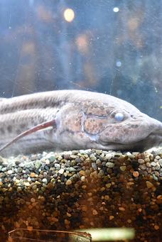 八户市水产科学馆Marient-八户