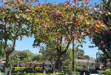 Muncipal de Caluco Park景点图片
