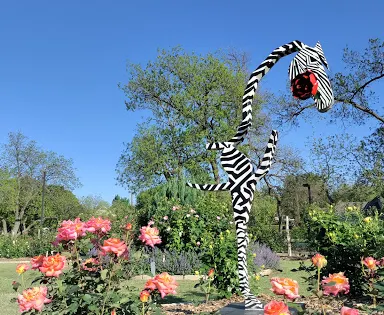 The Rose Gardens of Farmers Branch