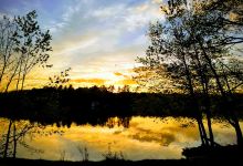 Peacock Beach State Park景点图片