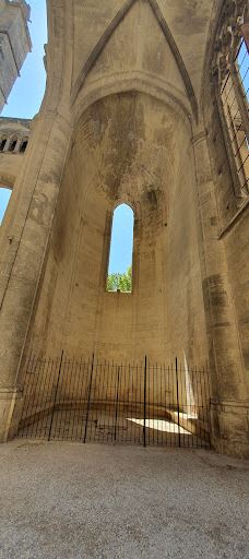 Petit train touristique de Narbonne-纳巴达