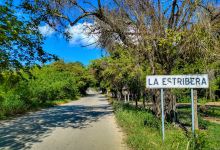 Ejido La Estribera景点图片