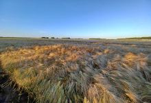 Naturisten mini camping Het Zwarte Gat景点图片