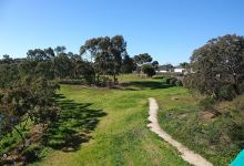 Arthur Beachley Reserve景点图片