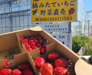いちごはうす嘉山農園