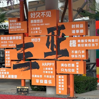 海口+三亚+蜈支洲岛6日5晚跟团游