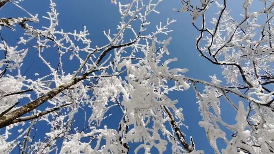 金龍苗寨風景區