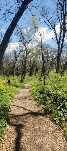 Pinery Provincial Park-大本德