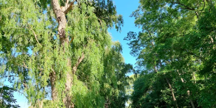 Richard's Memorial Park