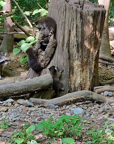 Bilsteintal: Tropfsteinhöhle und Wildpark in Warstein-瓦尔施泰因
