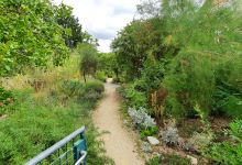 Mediterraner Garten景点图片