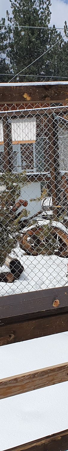 大熊湖动物园-大熊湖