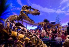 儿童博物馆景点图片