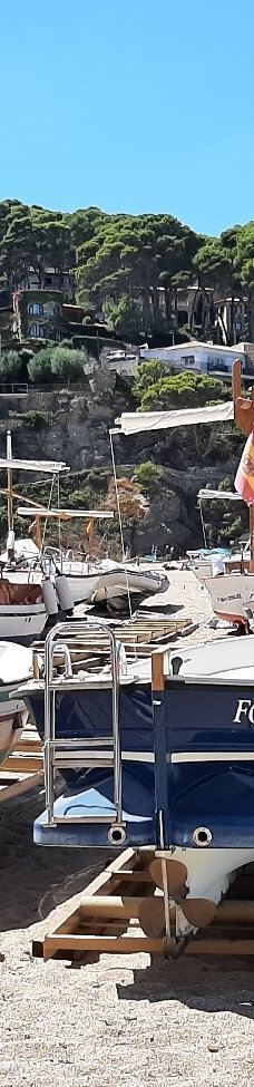 Playa Sa Riera-巴古尔