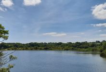 Cosmeston Lakes Country Park & Medieval Village景点图片